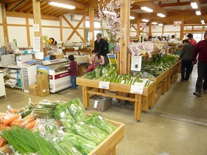 s-P1010569.jpg