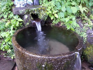 s-P1020130.jpg
