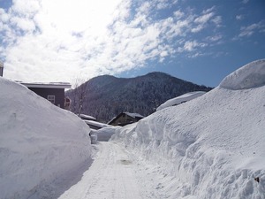 s-P1020806.jpg