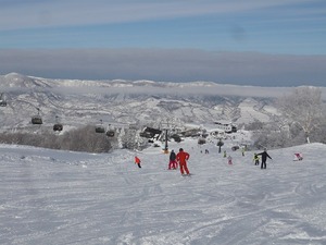s-P1030598.jpg
