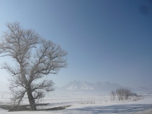 s-P1030873.jpg