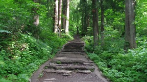 s-IMGP0295.jpg