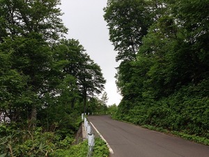 s-IMG_0195.jpg