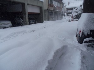 s-IMGP2312.jpg