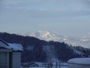 s-IMGP2319.jpg