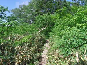 s-IMGP2962.jpg