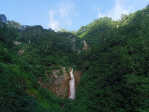 s-IMGP3138.jpg
