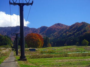 s-IMGP5468.jpg