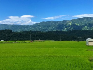 s-IMG_1045.jpg