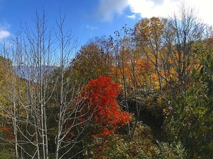 s-IMG_1085.jpg