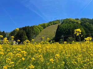 s-IMG_3535.jpg