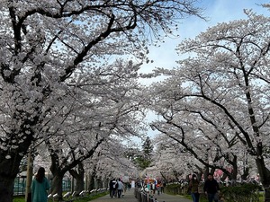 s-IMG_0510.jpg