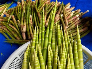 s-IMG_0560.jpg