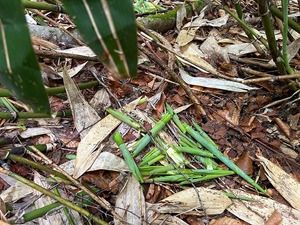 s-IMG_0573.jpg