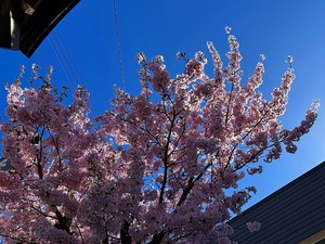 s-IMG_1088.jpg