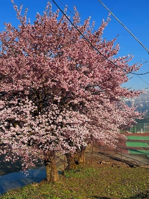 s-IMG_1091.jpg