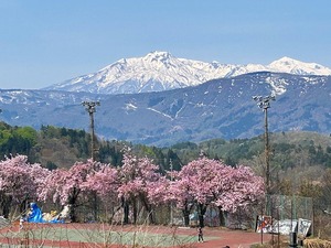 s-IMG_1092.jpg