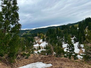 s-IMG_1097.jpg