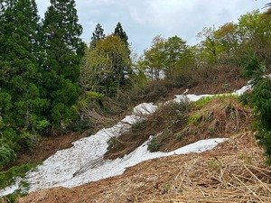 s-IMG_10981.jpg
