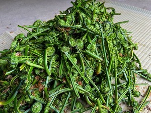 s-IMG_11022.jpg