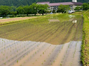 s-IMG_1115.jpg