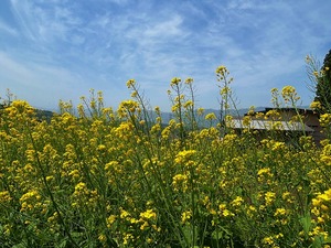 s-IMG_1120.jpg