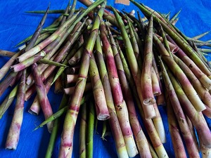 s-IMG_1133.jpg