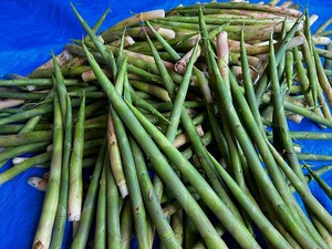 s-IMG_1247.jpg