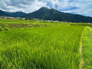 s-IMG_1332.jpg