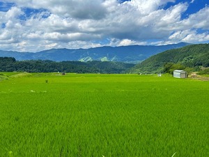 s-IMG_1334.jpg