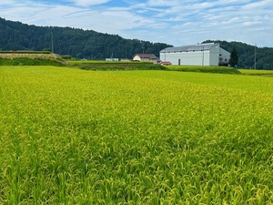 s-IMG_1433.jpg
