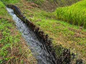 s-IMG_1435.jpg