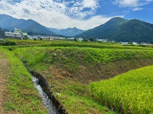 s-IMG_1436.jpg
