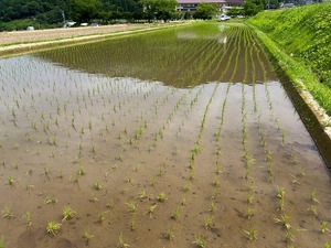 s-IMG_1816.jpg