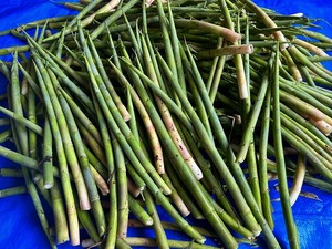 s-IMG_1827.jpg