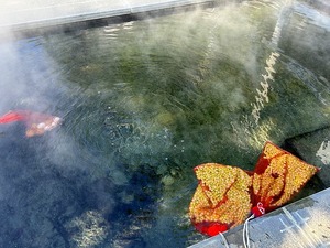 s-IMG_1828.jpg