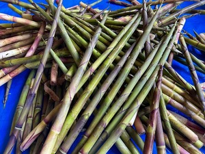 s-IMG_1833.jpg