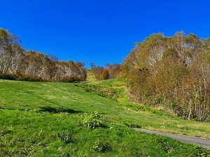 s-IMG_2326.jpg