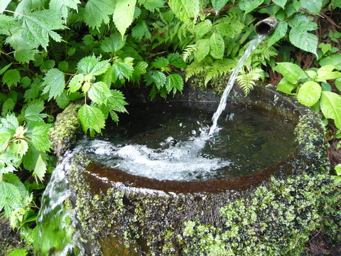 中尾区「八幡宮の清水」、清冽な湧水で有名。