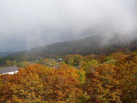 美しい紅葉にかかる山霧、「小毛無山」は冬間近。